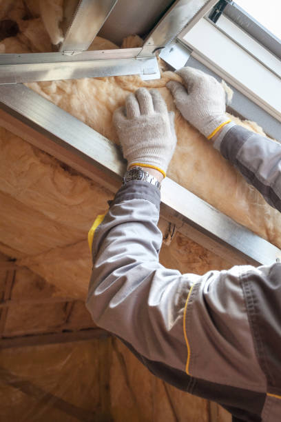 Best Professional Insulation Contractor  in Dennis Port, MA