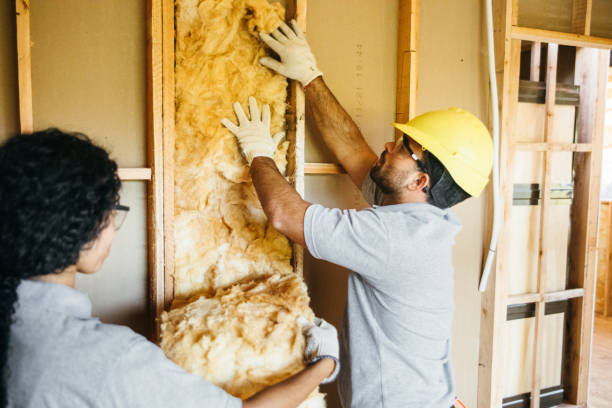 Best Blown-in Insulation  in Dennis Port, MA