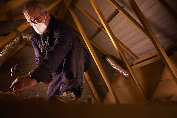 Best Affordable Insulation Services  in Dennis Port, MA
